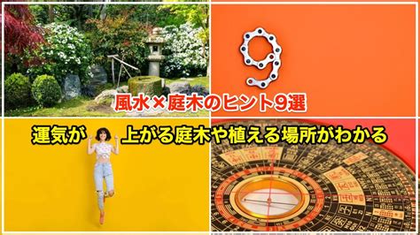 幸運木風水|風水×庭木のヒント9選【植えてはいけない木や植え。